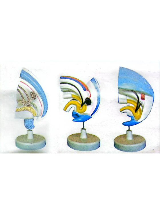 Untitled design (10)