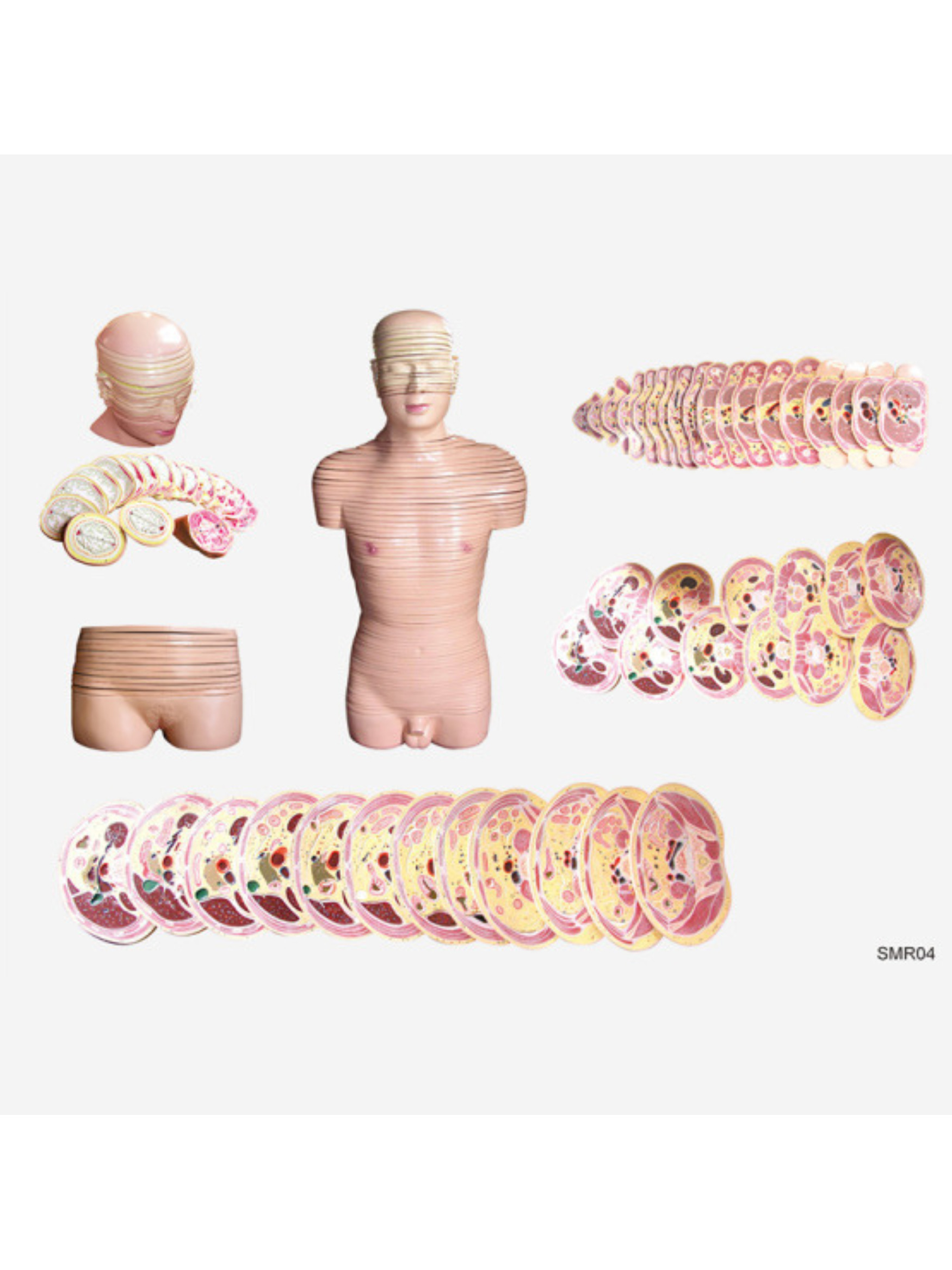 Untitled design (30)