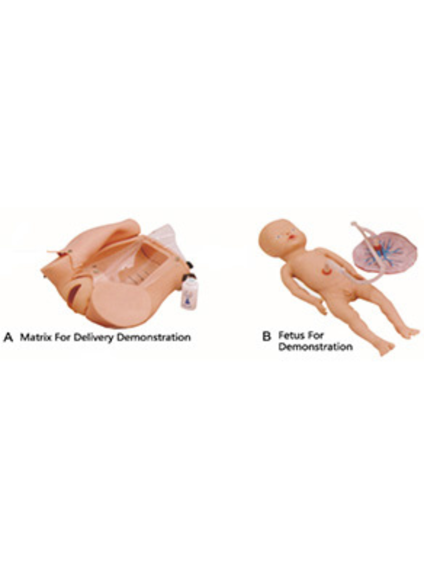 Untitled design (34)