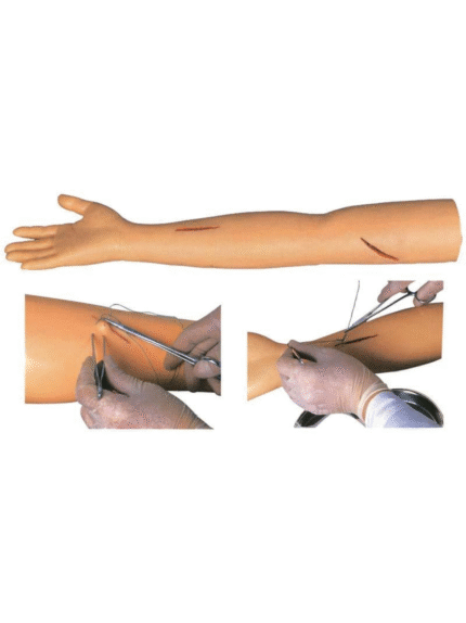 ATL-105 ADVANCED SUTURE PRACTICE ARM SOFT