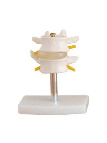 ATL-226 LUMBER SET 2 PCS