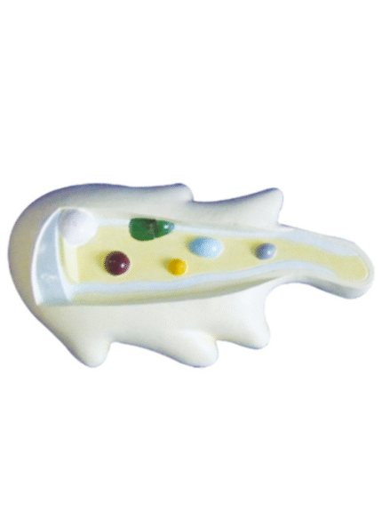 ATL-251 MODEL OF AMOBEA